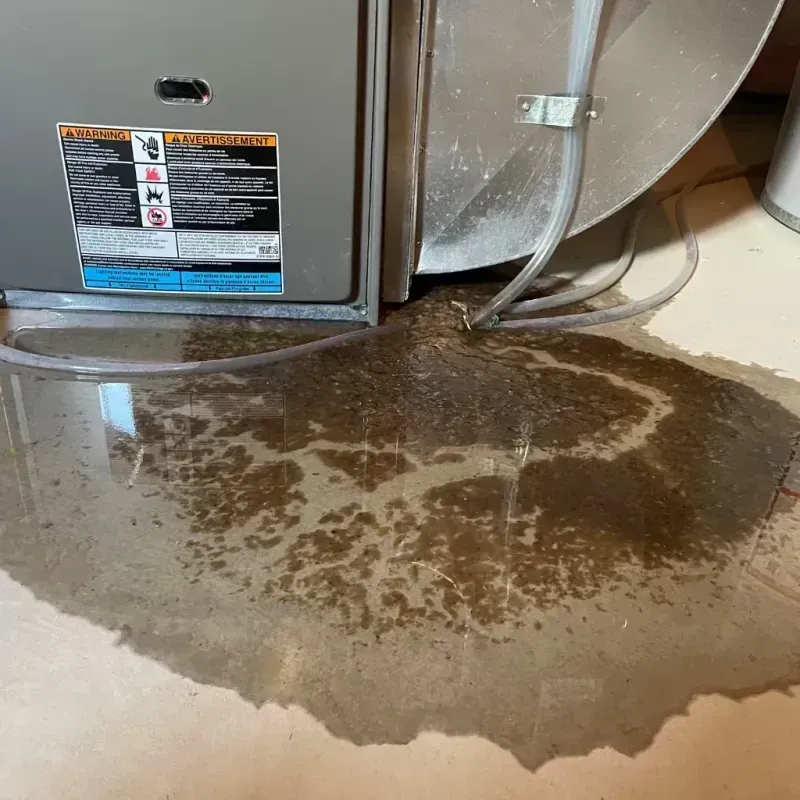 Appliance Leak Cleanup in West Crossett, AR